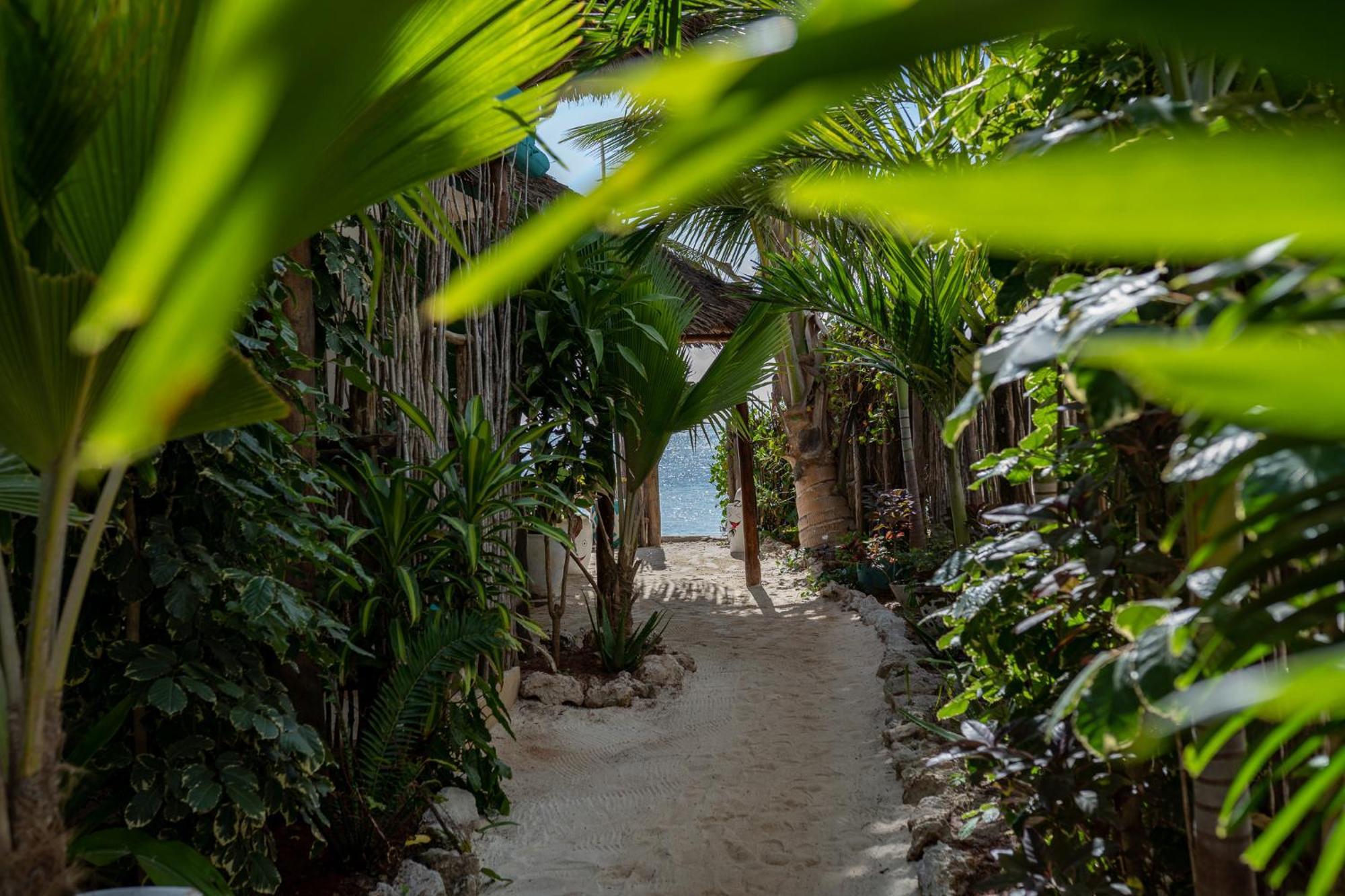 Pili Pili Beach House Jambiani (Zanzibar) Exterior foto